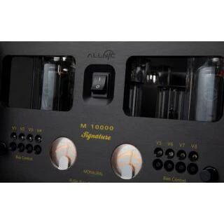 Allnic M-10000 Signature Power Amplifier (Mono Block Pair) - Image 5