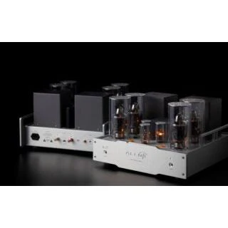 Allnic M-3000 MK3 Power Amplifier - Image 6