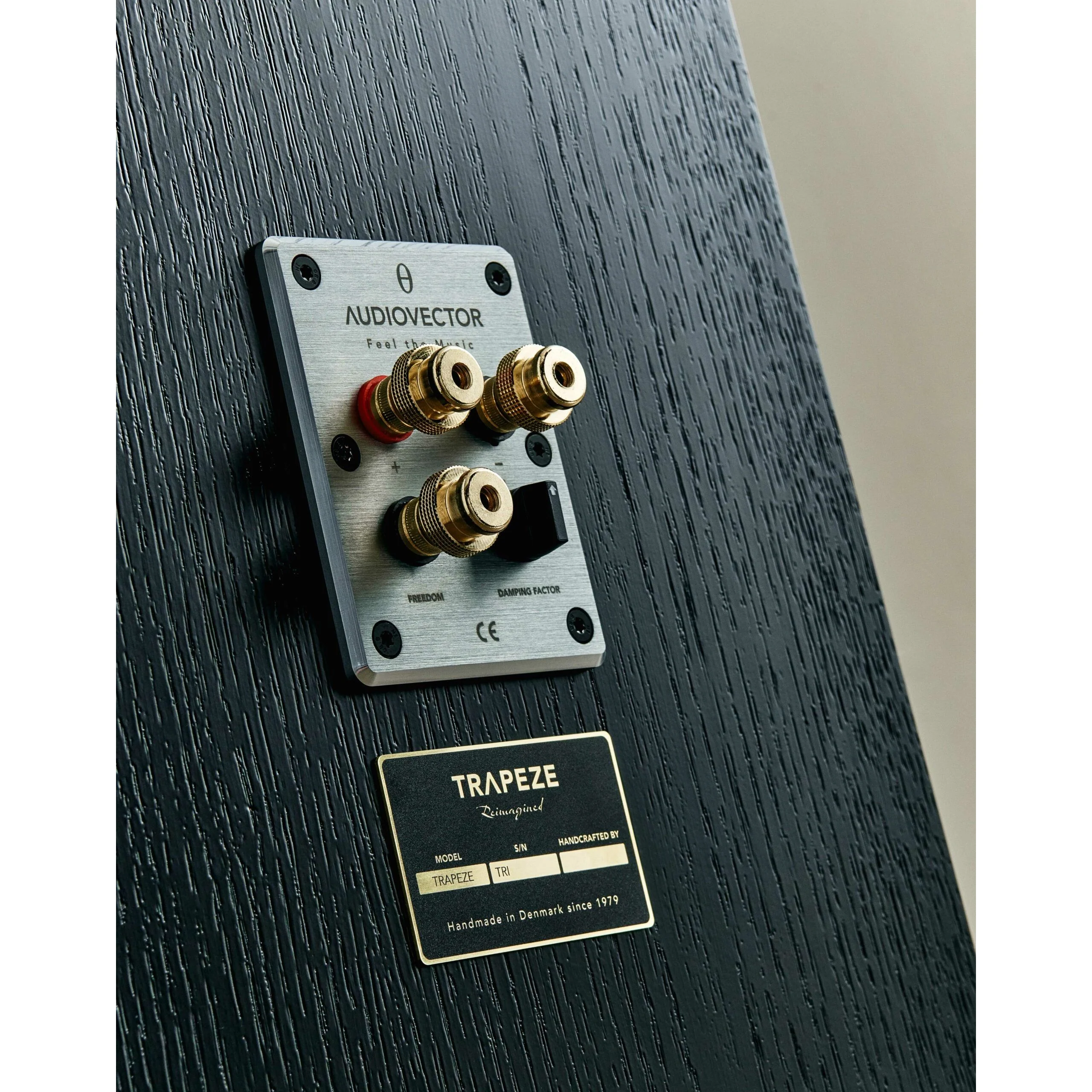 Audiovector Trapeze Ri Floorstanders - Image 15