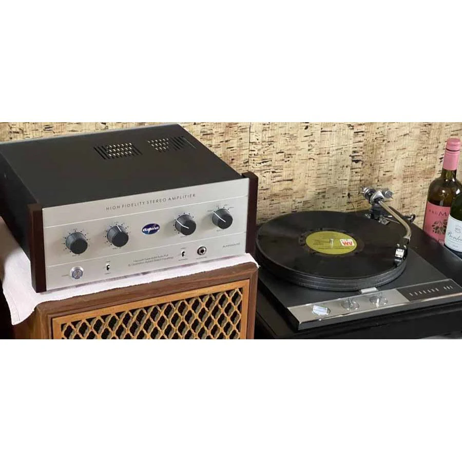 Aurorasound HFSA-01 Valve Stereo Amplifier - Image 6