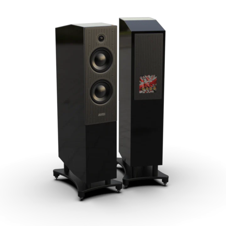 Avid Evo Three Floorstanders - Image 9