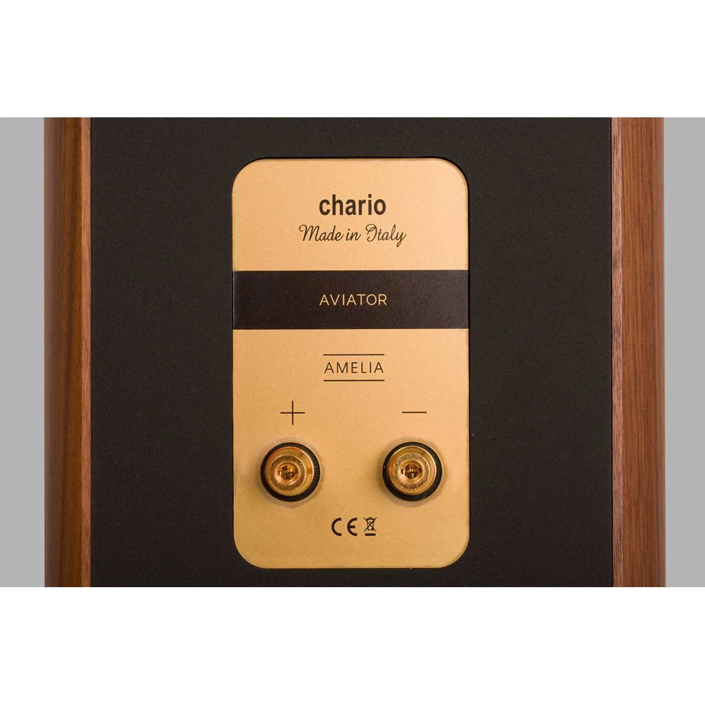 Chario Aviator Amelia Floorstanding Speaker - Image 5