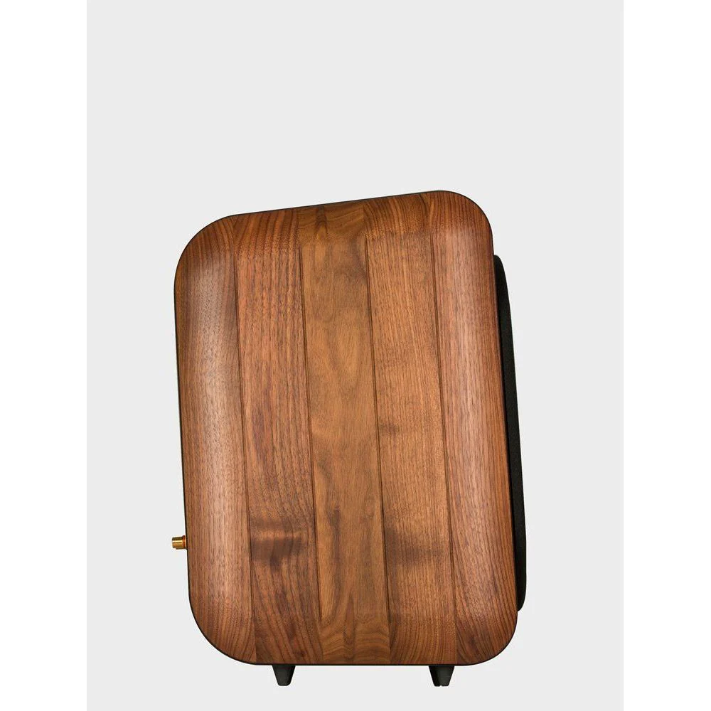 Chario Aviator Ghibli Bookshelf Speaker - Image 4