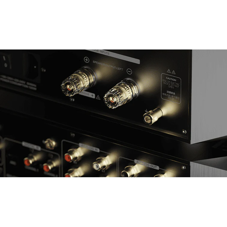 Eversolo AMP-F10 Class AB Power Amplifier - Image 11