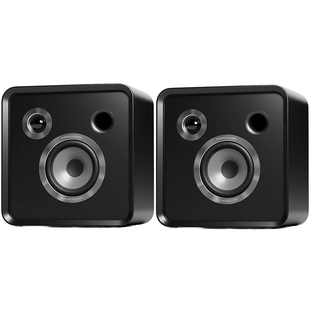 Eversolo SE100 Passive HiFi Bookshelf Speakers - Image 9