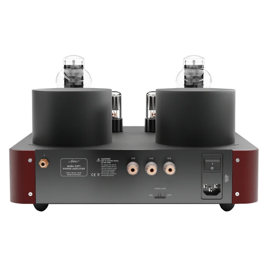 Fezz Mira Ceyi 300B Mono Amplifier Pair - Image 10