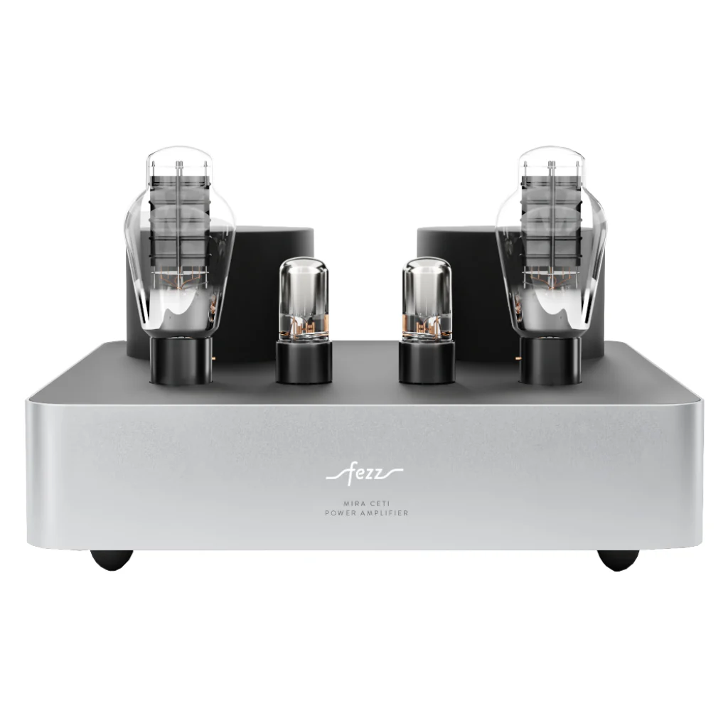Fezz Mira Ceyi 300B Mono Amplifier Pair - Image 5