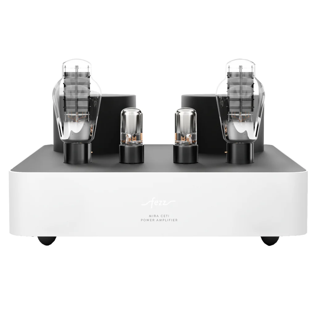 Fezz Mira Ceyi 300B Mono Amplifier Pair - Image 6