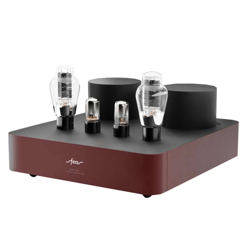 Fezz Mira Ceyi 300B Mono Amplifier Pair - Image 8