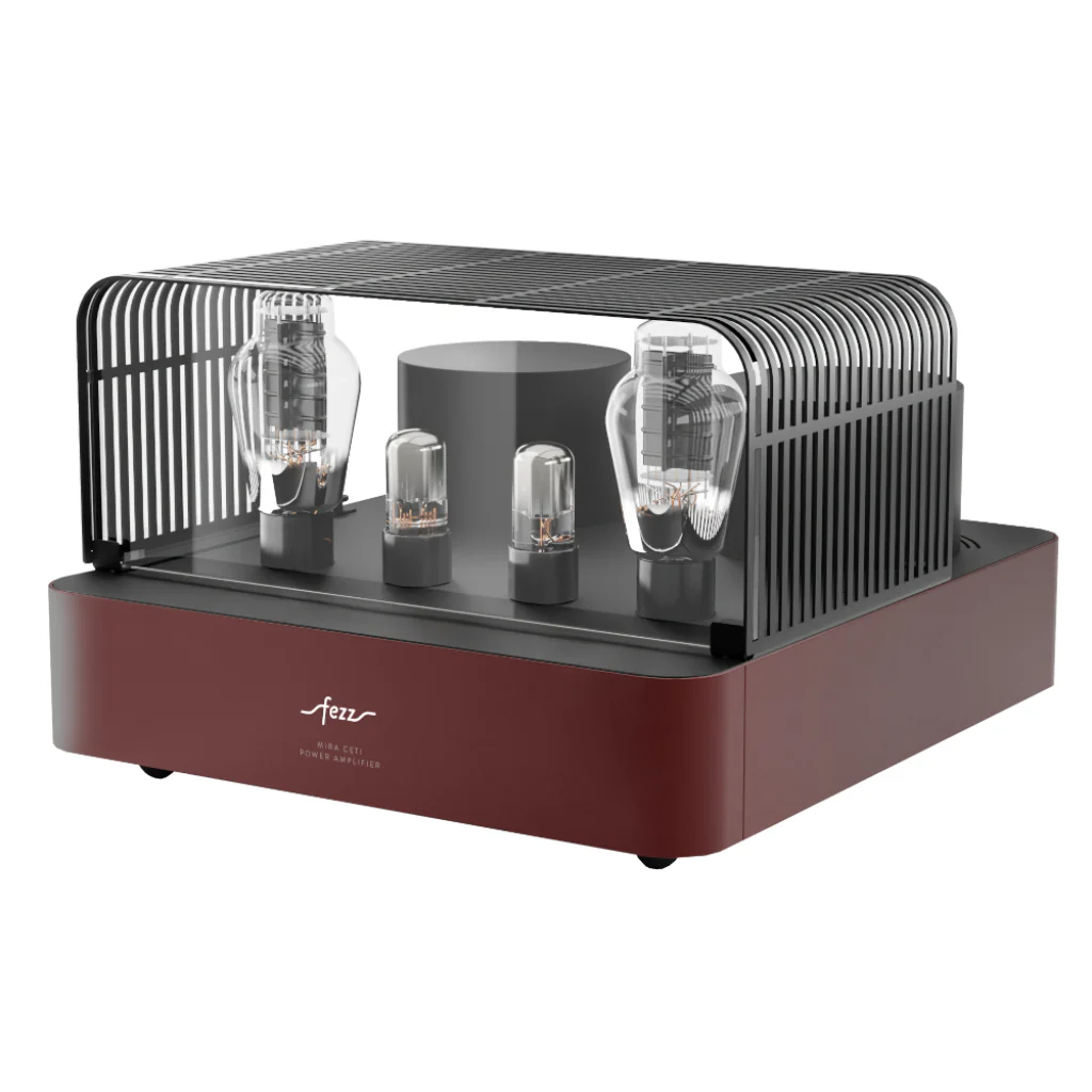 Fezz Mira Ceyi 300B Mono Amplifier Pair - Image 9