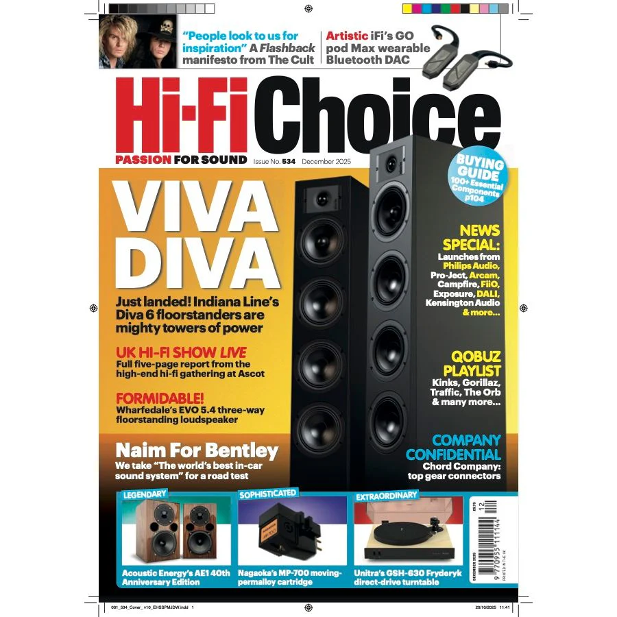 Indiana Line Diva 6 Floorstanding Speaker - Image 2