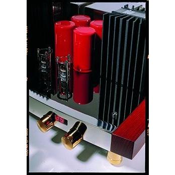 Pathos TT Remote Reference Integrated Amplifier - Image 3
