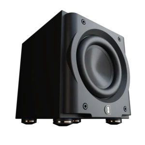 Perlisten Model R8s Subwoofer