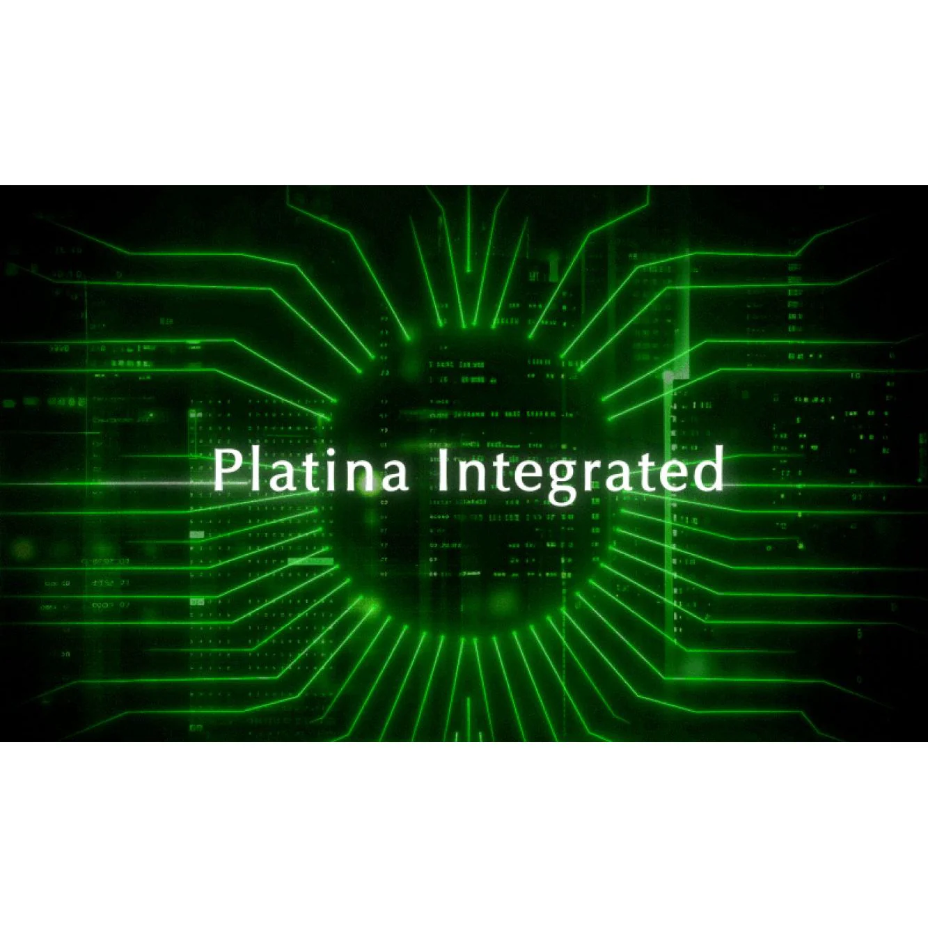 Quad Platina Intergated Amplifier - Image 22