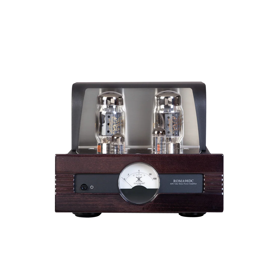 Synthesis Roma 98DC mono Power Amplifier