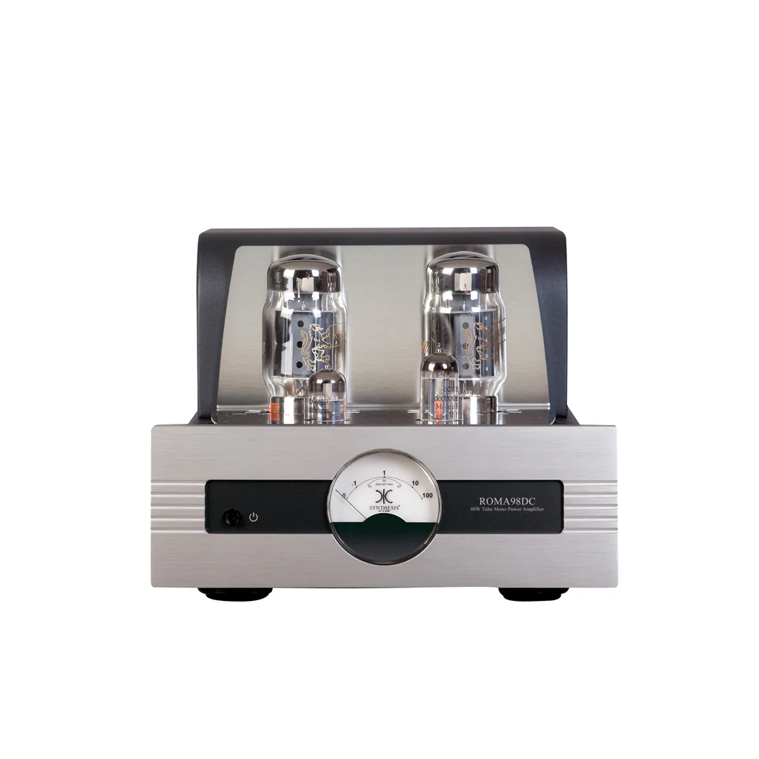 Synthesis Roma 98DC mono Power Amplifier - Image 2
