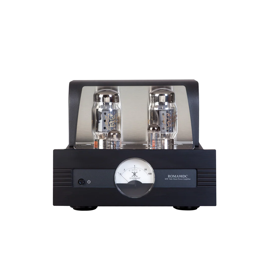 Synthesis Roma 98DC mono Power Amplifier - Image 3