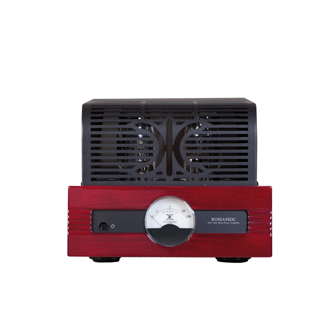 Synthesis Roma 98DC mono Power Amplifier - Image 4