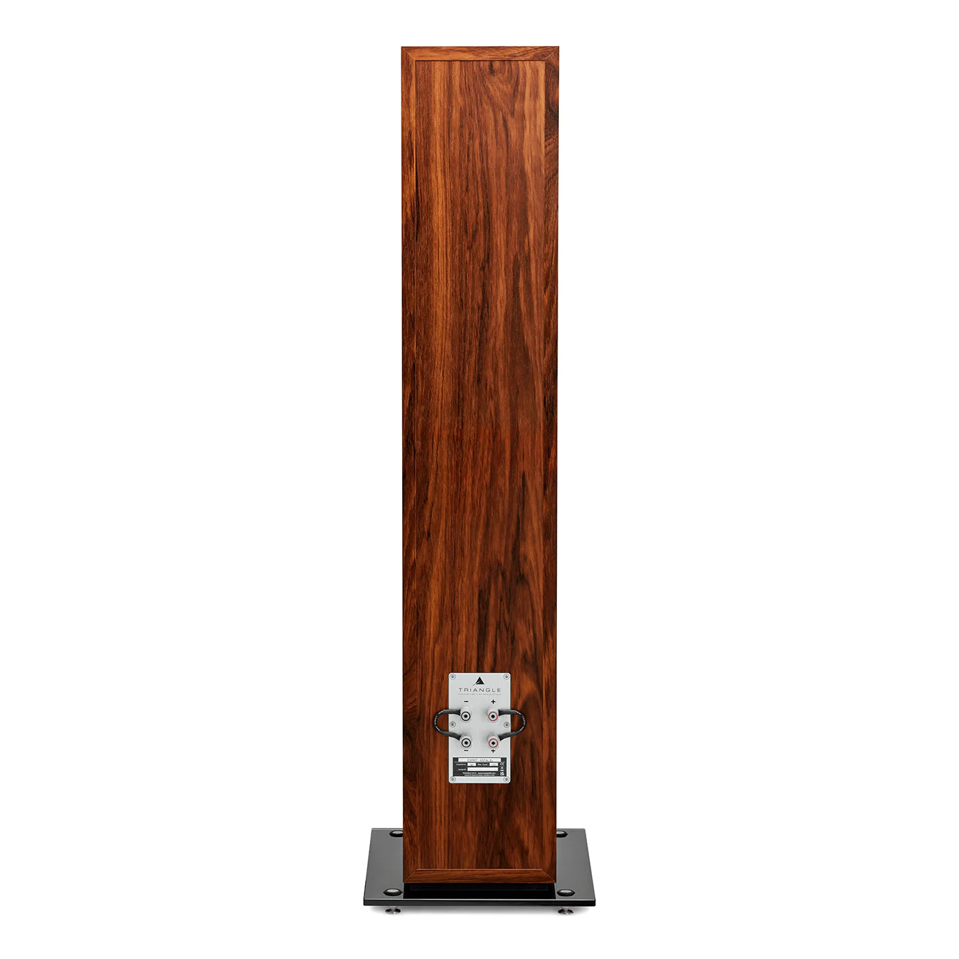Triangle Esprit Antal EZ Floorstanding Speakers - Image 11