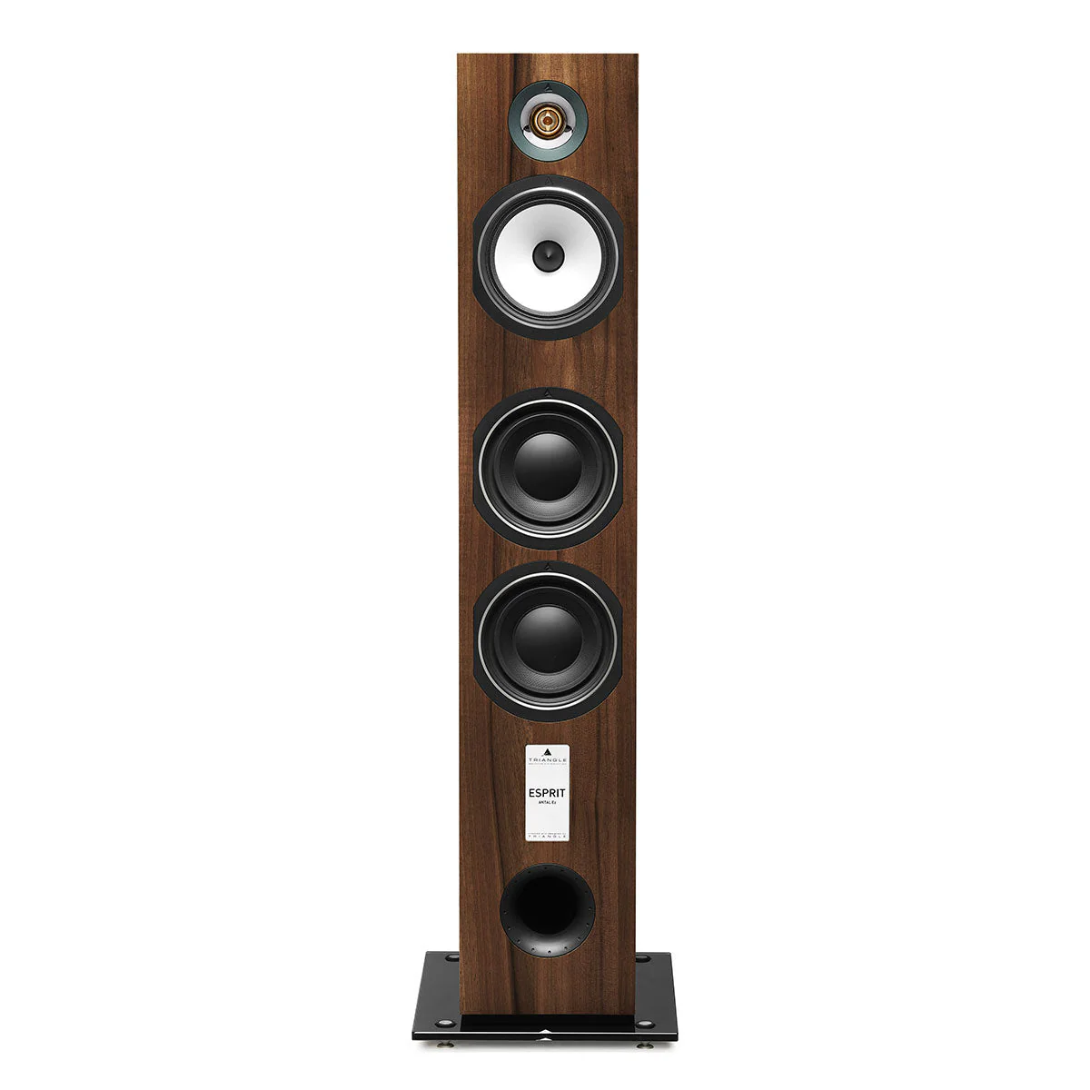 Triangle Esprit Antal EZ Floorstanding Speakers - Image 15