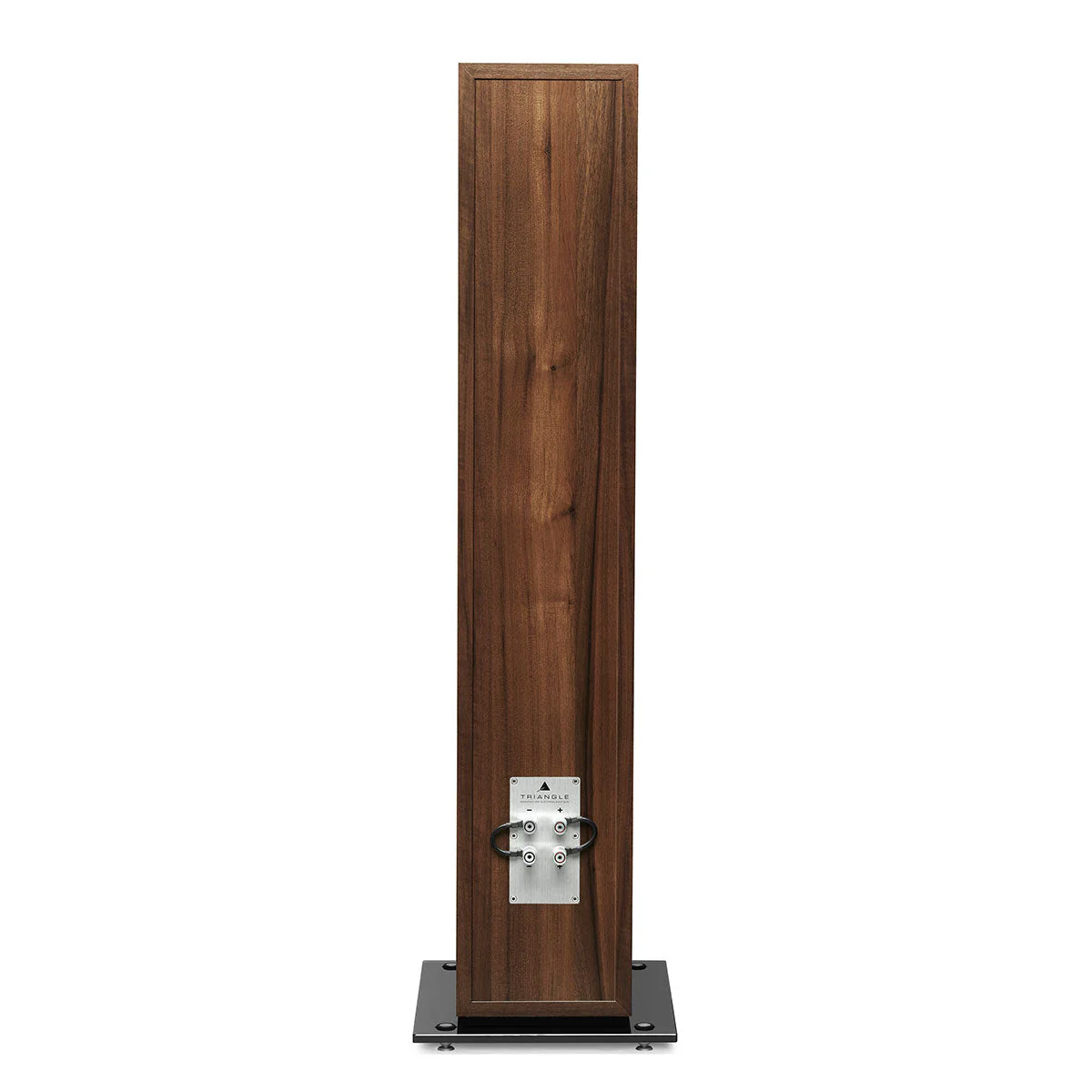Triangle Esprit Antal EZ Floorstanding Speakers - Image 16