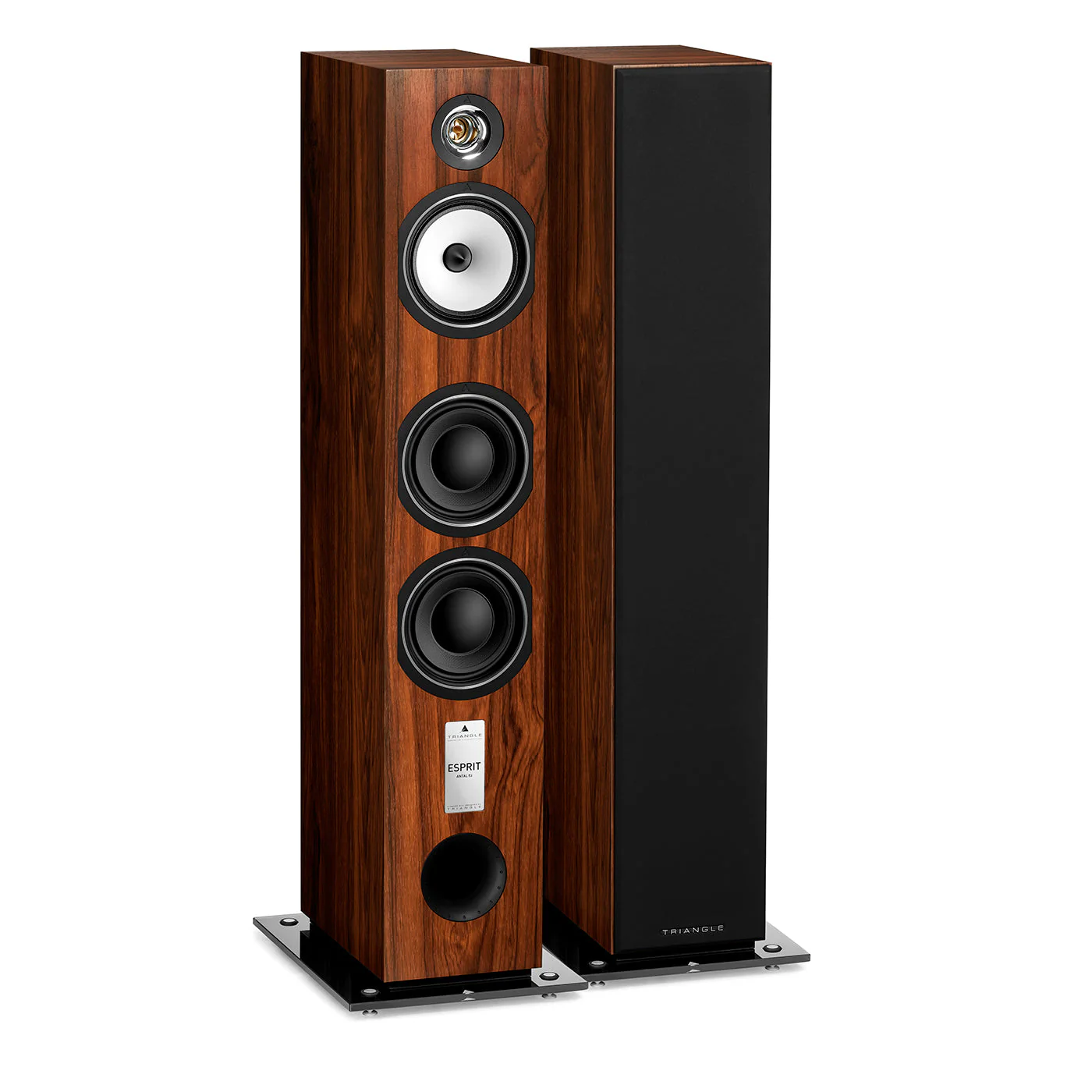 Triangle Esprit Antal EZ Floorstanding Speakers - Image 21