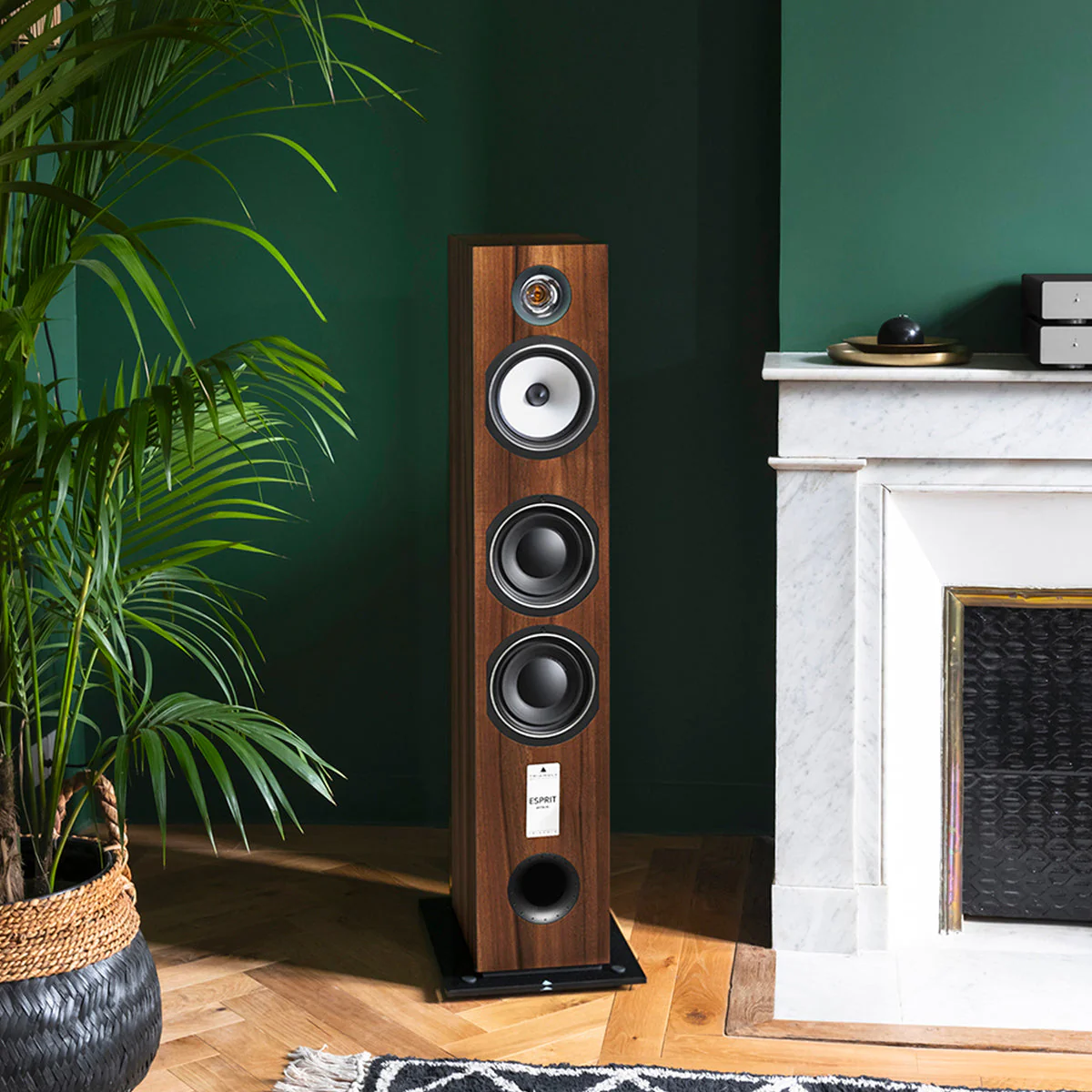 Triangle Esprit Antal EZ Floorstanding Speakers - Image 22