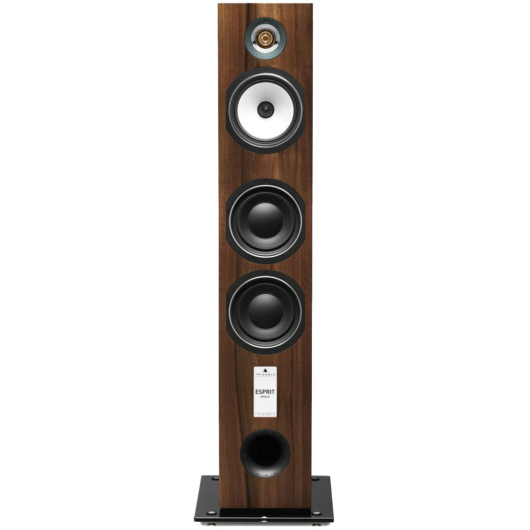 Triangle Esprit Antal EZ Floorstanding Speakers - Image 3