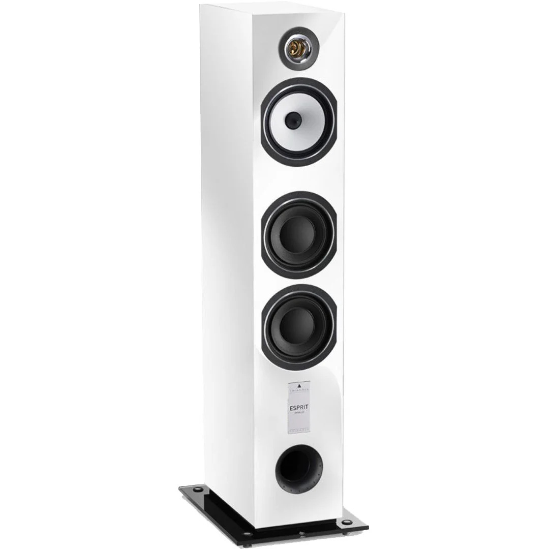 Triangle Esprit Antal EZ Floorstanding Speakers - Image 8