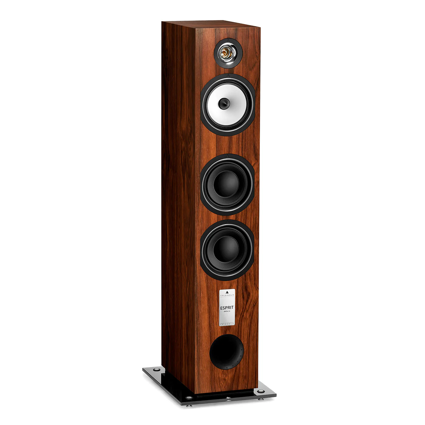 Triangle Esprit Antal EZ Floorstanding Speakers - Image 9