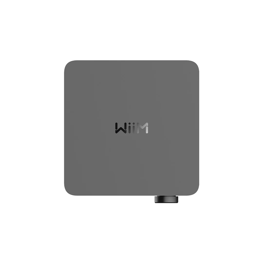 Wiim Amp Ultra Integrated Amplifier - Image 5