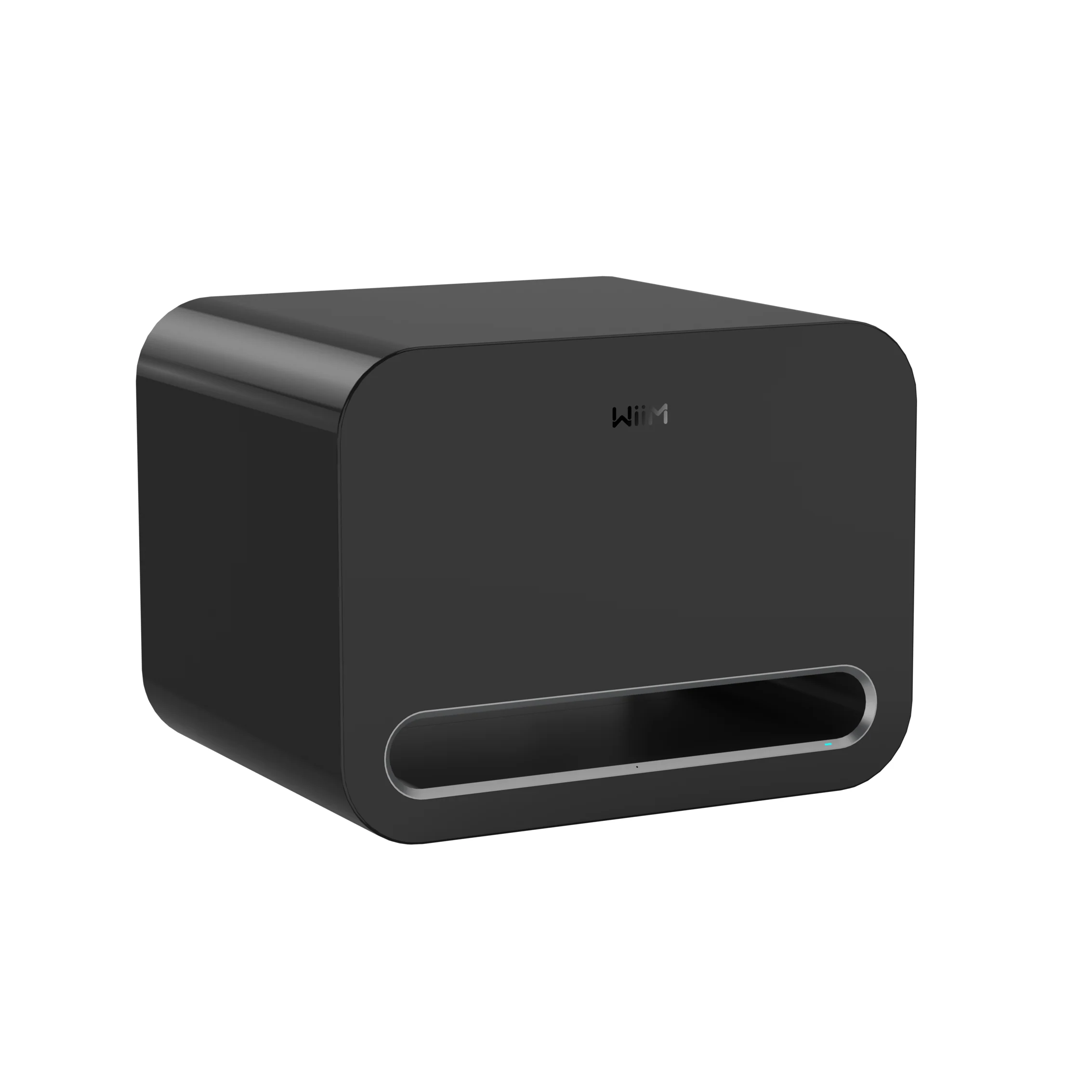 Wiim Sub Pro Subwoofer